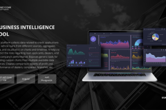 Business Intelligence Tool